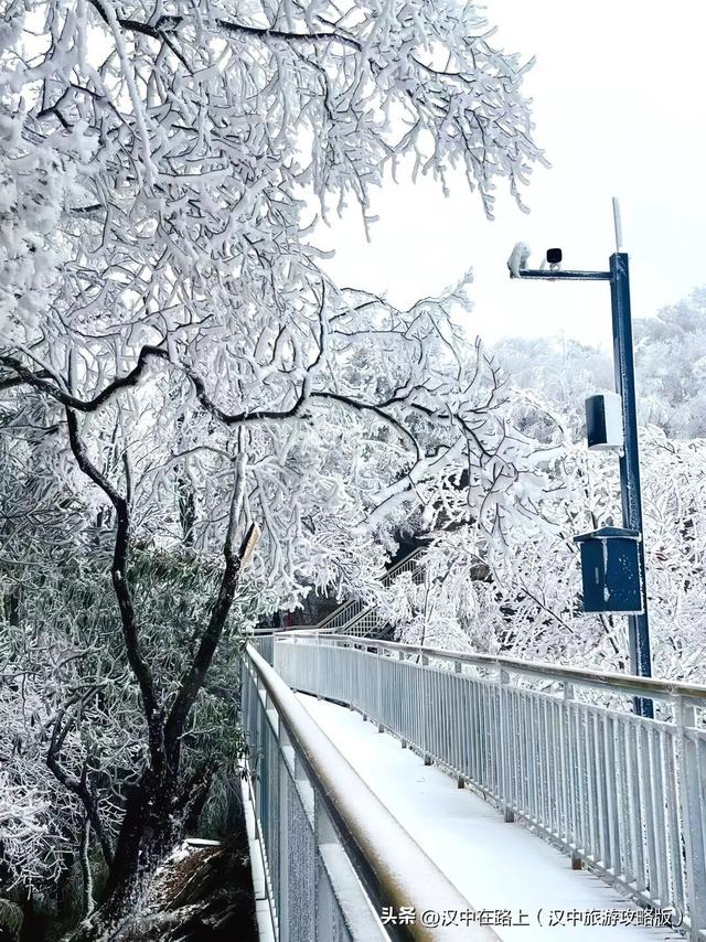 草川子下雪雪雪啦！九鼎山的雪景真的不可错过~