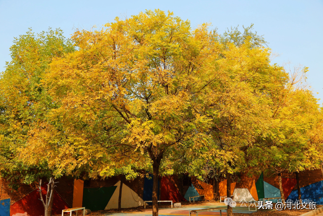 邯郸，你别太好逛了！