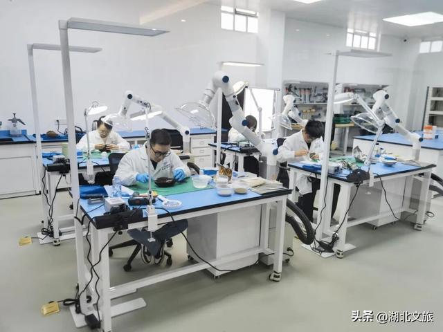 湖北云梦隆重举办简牍文化系列展暨研究成果发布活动 睡虎地秦简出土五十周年纪念大会拉开序幕