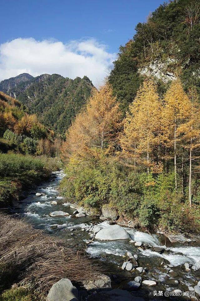 成都不远！这三个地方的红叶，美得很超过！