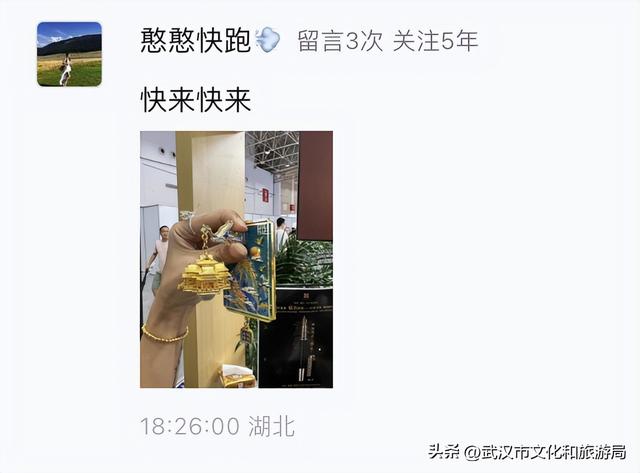 230亿！不愧是武汉