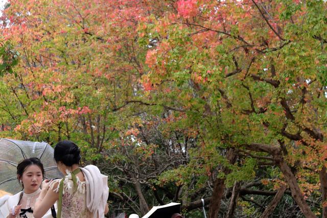 昆明的空中栈道建设是一个极好的构思