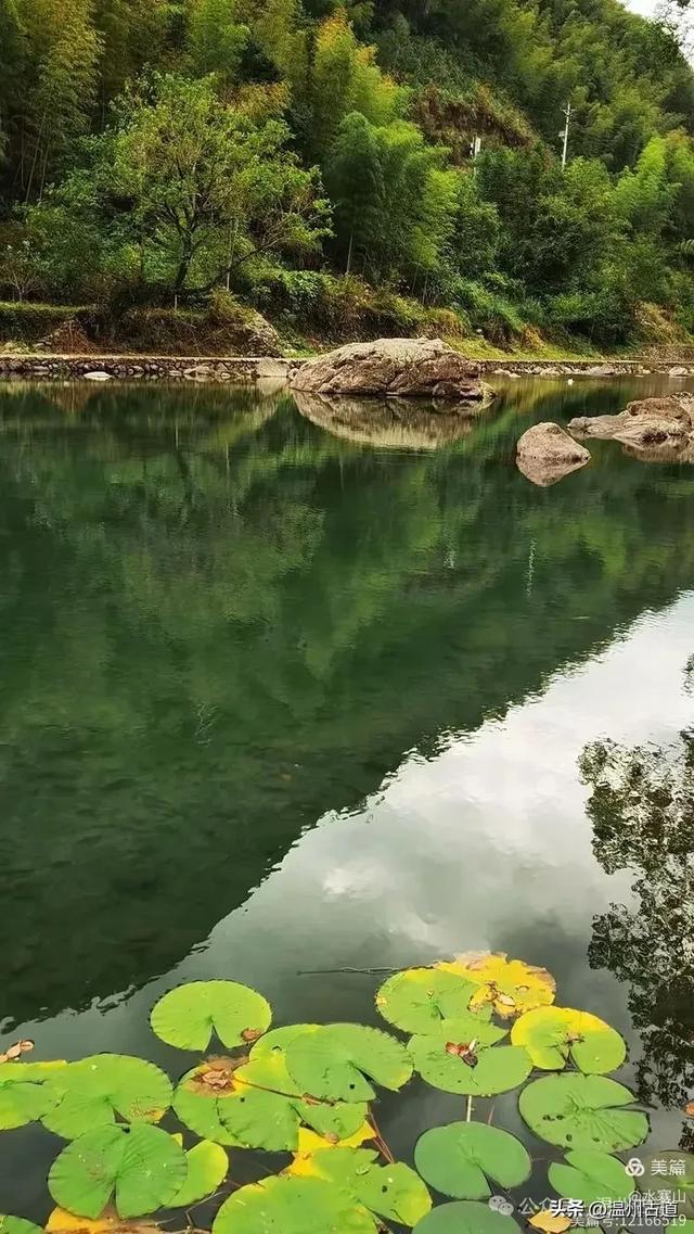 温州大山深处的这个千年遗世古村落你可去过?