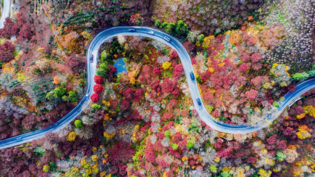 “浙里名山上海行”即将启幕，20座名山携生态好礼赴约上海滩