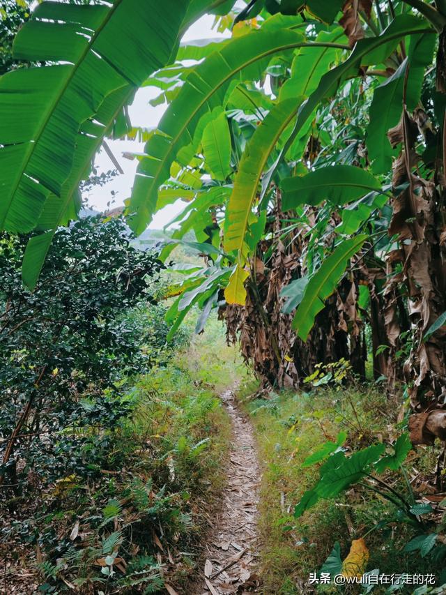 闽侯白沙居然有这么棒的观景台。距离福州1h，周末游玩超推荐。