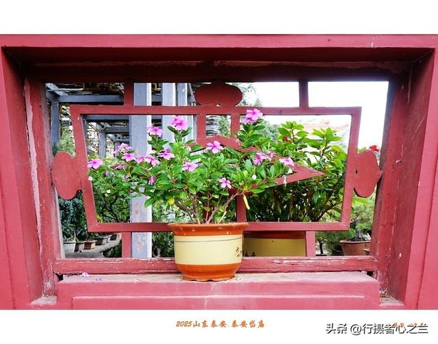 山东行游影记（321）—泰安岱庙（十七）