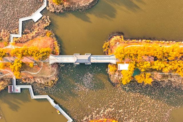 吉视界 | 北湖秋日限定 “颜值” 上线