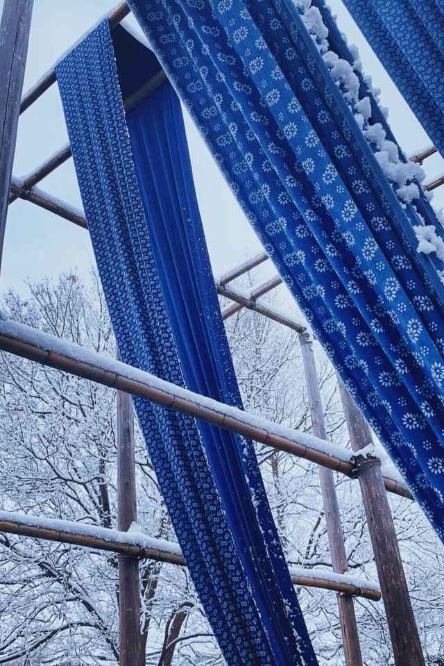 下雪了！下雪了！浙江的第一场雪来了！