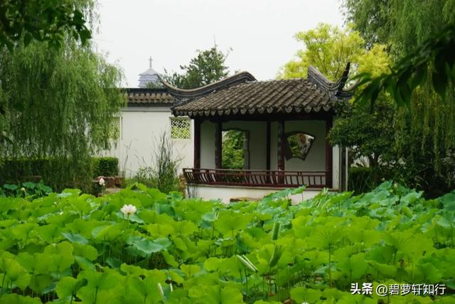 北京园博园里的江南韵