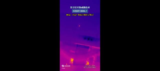 热成像灭蚊，蚊子亮了。