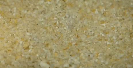 开渔后，最值得一去的小城！海鲜比顺德潮汕还生猛，满桌大餐不到100，口水已经流下来了！