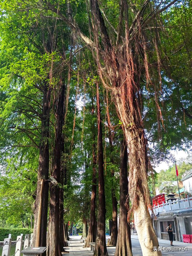 西樵山宝峰寺、白云古寺