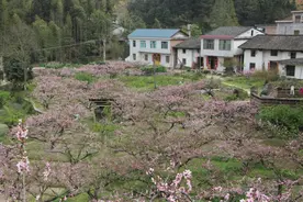 五十岁的70后，家庭最难的，不是没钱没房，而是处于以下几种状态图片