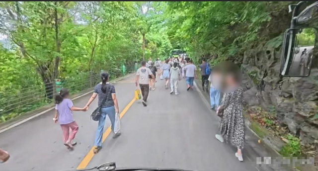 果树突发交通瘫痪！因众人堵死摆渡车道场面惊人，究竟咋回事？