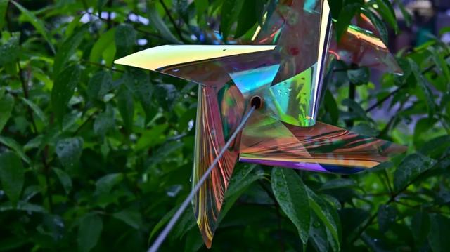 走,再去红光路逛一逛!