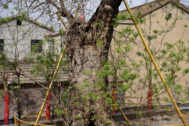 江苏徐州6大陵墓，都是历史名人陵墓，你知道几个？