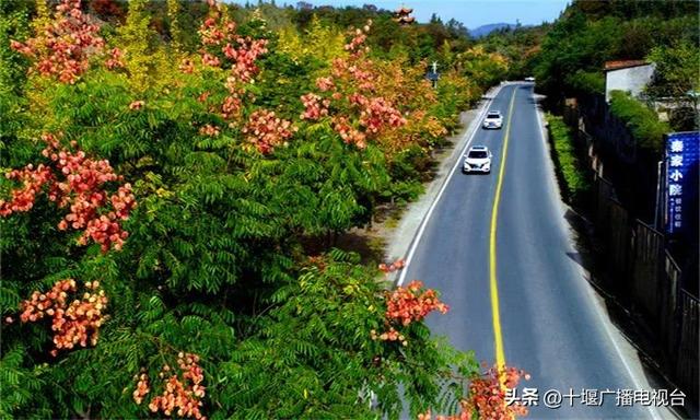 十堰这条路获评“全国最美”，一文看尽它的独特魅力