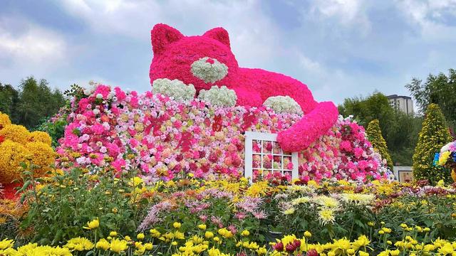 赏秋菊、品美食！哈尔滨市香坊区第22届菊花展来了