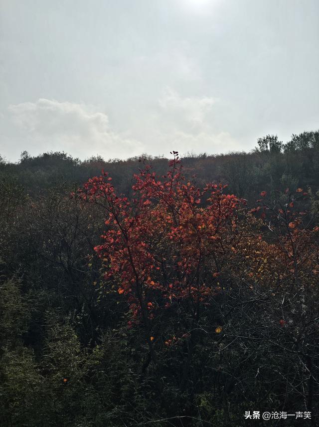 踏遍青山，风景独好，看万山红遍，层林尽染，请尽情欣赏吧