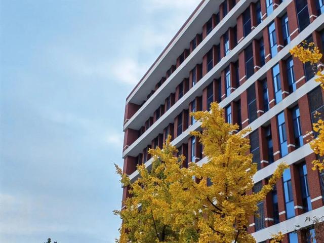 大学生活游戏，通关进度......
