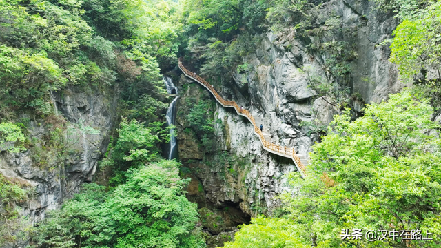 酷暑难耐？躲进宁强「山水秘境」，解锁23℃的清凉夏天~
