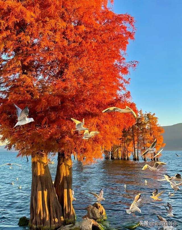 夫妻老了要明白：到60岁后既要睡一起，又要减少压力	，提升幸福感