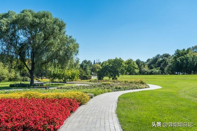 散文:看人间美景，五月历历