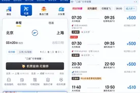 拒绝机票捆绑套餐 京东订机票“无捆绑”为出行“减负”图片