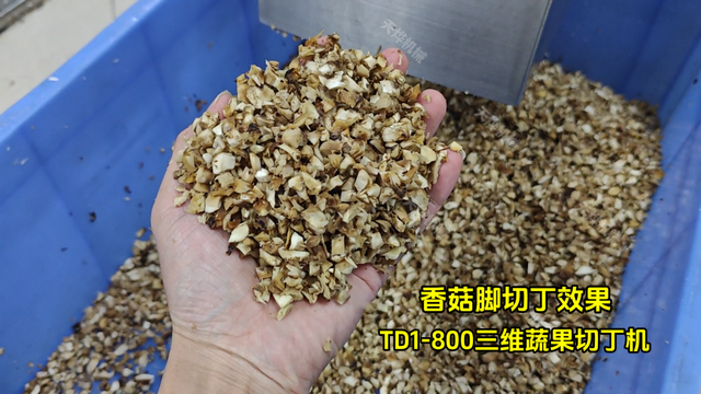 农产品加工，香菇脚怎么切丁？天烨机械TD1-800三维蔬果切丁机