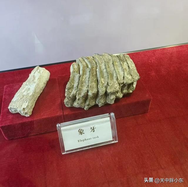 保姆级攻略！蓝田逛吃攻略 ，人少景美超好逛，这里还是吃货的天堂