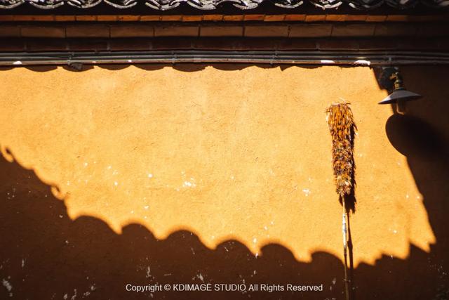 我愿称腾冲为秋季的天花板！银杏、温泉、古镇，来过的人都不想走