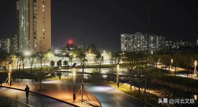实拍!秦皇岛家门口的免费好去处,这个百亩湿地公园晚上也能逛~