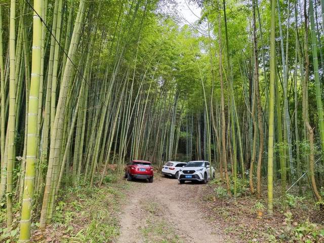 “金钟玉鼓”鸣西蜀,彭州老君山文化传承人王志强致力打造文旅目的地(图5) “金钟玉鼓”响西蜀!文化传承人王志强筑梦彭州老君山(图1)