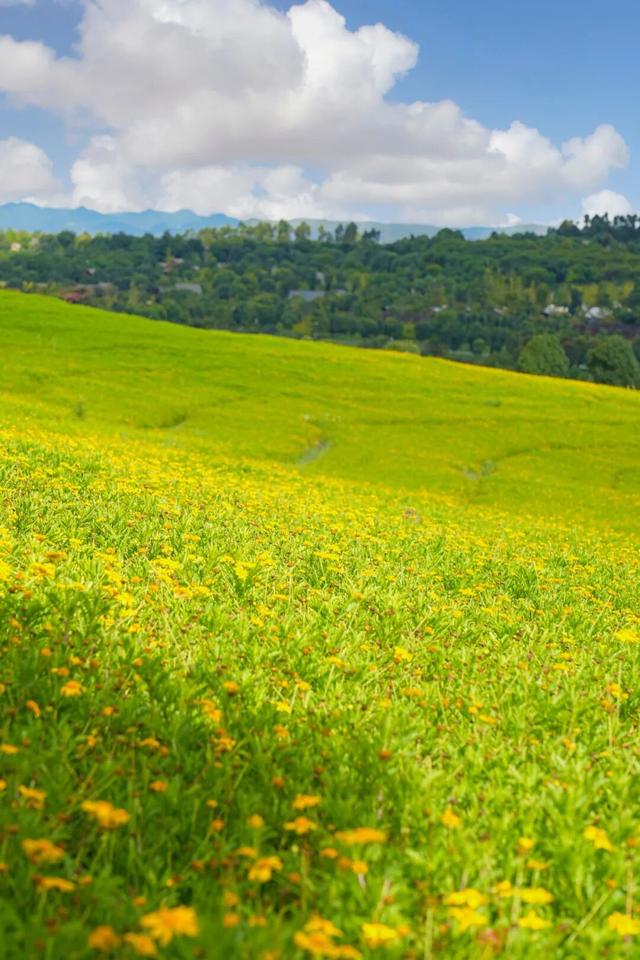 州庆，弥勒太平湖超多福利！红河人约起～