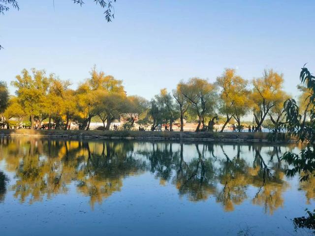 颐和园秋色印记