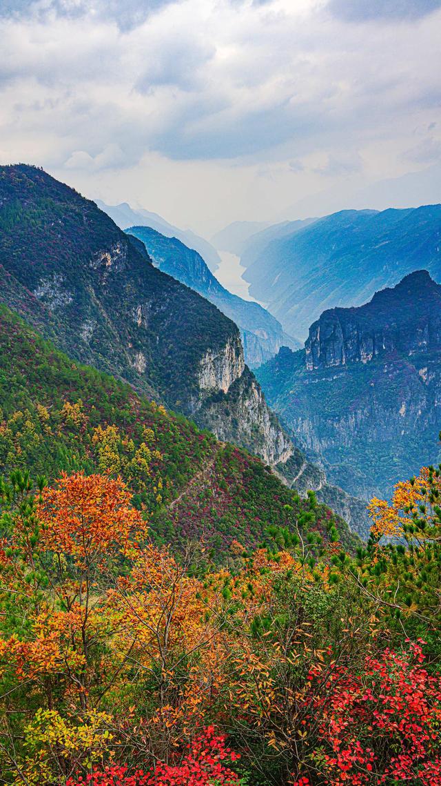 一江碧水，两岸红叶，静看三峡绚丽之秋