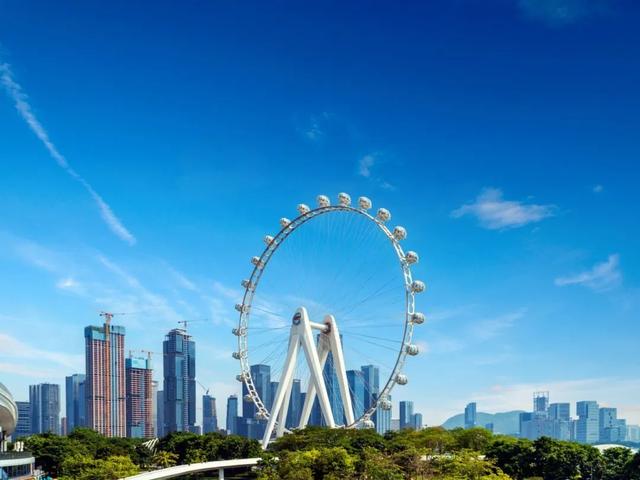 45个“爱上深圳的理由”，定格特区心跳！