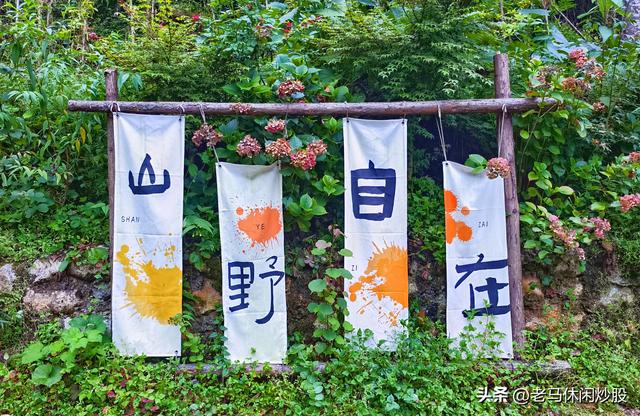 茨竹沟——鸡冠山深处的清凉秘境