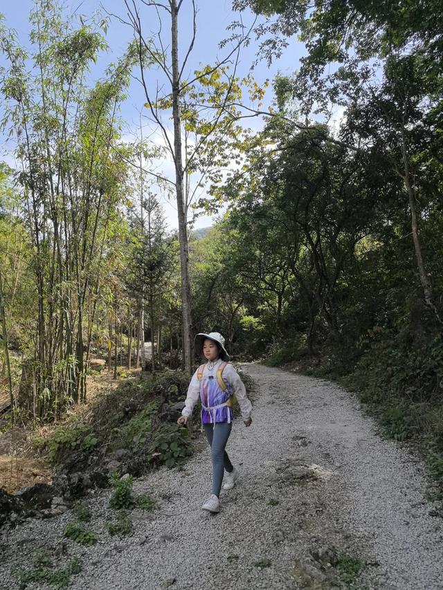 带小朋友去贵州茂兰，连环探洞加漏斗原始森林徒步二日游全攻略！