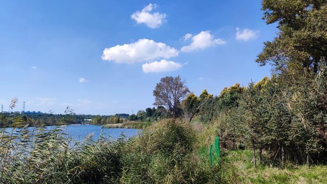 乌兰察布霸王河大桥两岸，河水缓缓流淌，两岸绿树成荫，空气清新