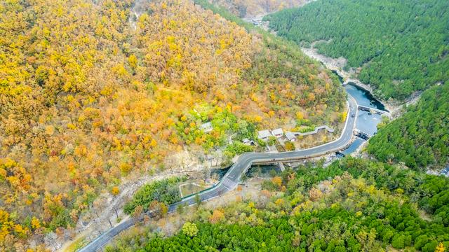 秋景斑斓彩石溪