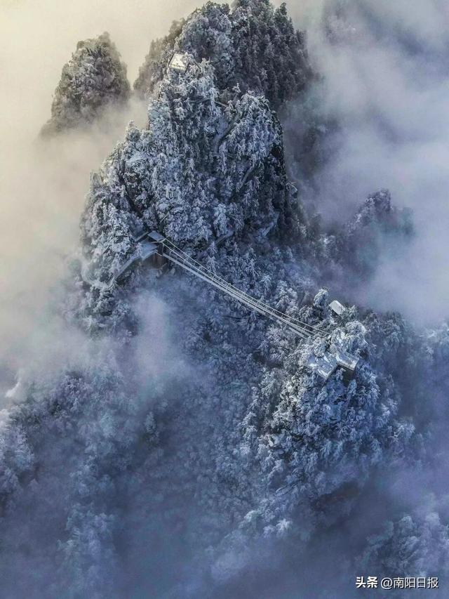 南阳的冬日仙境在这里！