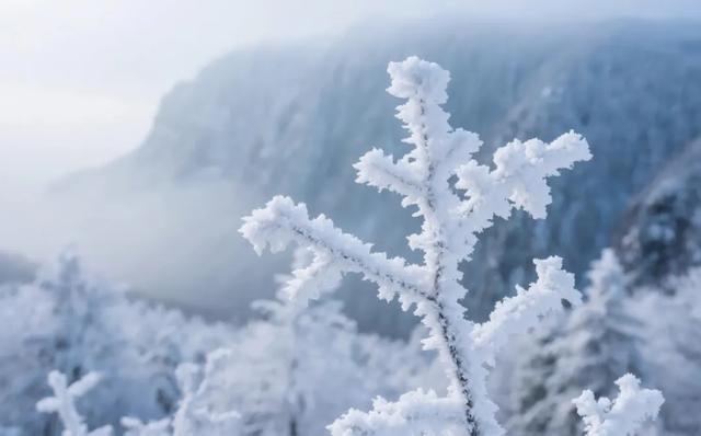 长白山冬日限定:冰封天池、雾凇魔界,一场与天地对话的旅程