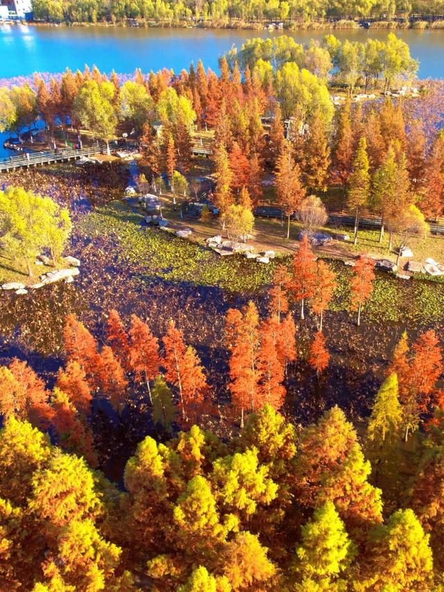 烟台秋日绝色盛宴筹备中，走！寻秋去！