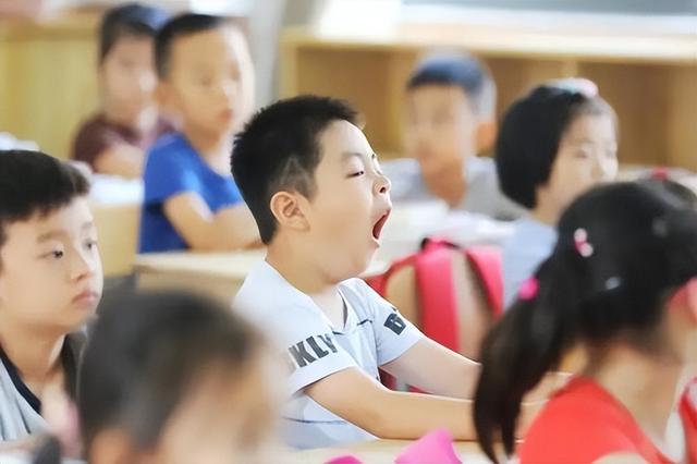 全国出生人口断崖：21年1062万人，24年954万，25年令人意想不到