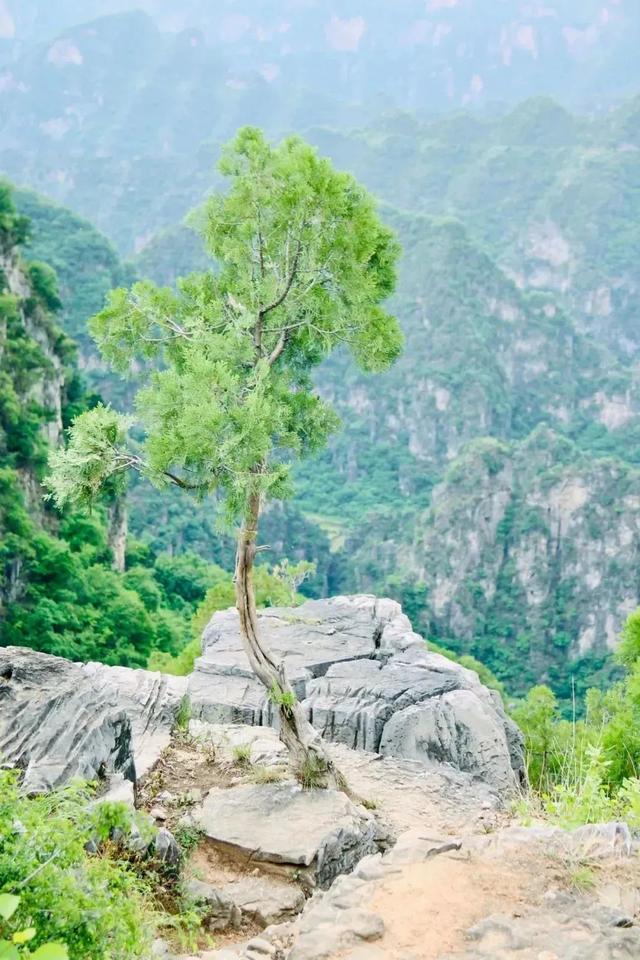 寻踪竹林沟村，探秘藏在太行褶皱里的桃源故事