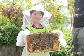 保护濒危物种中华蜂科普活动 | 绿会青创生态文明驿站图片