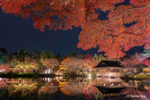 TADA东京美术塾| 懒人福利篇｜东京市内随时打卡红叶景点TOP10