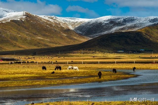 西藏嘎朗湿地：藏东南的隐秘莲花