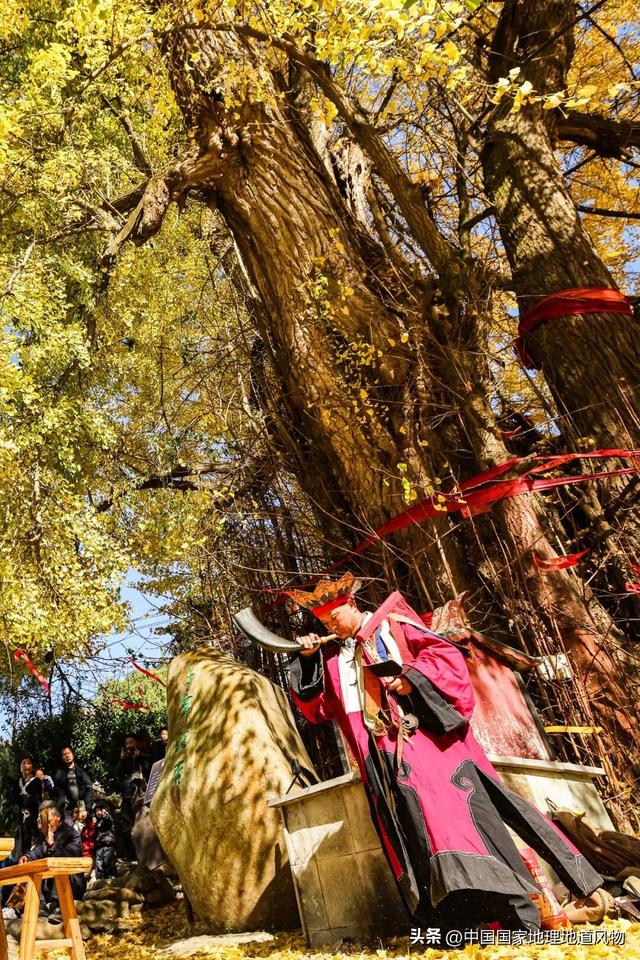 桃源深处、武陵主峰，梵净山何以跻身世界遗产？